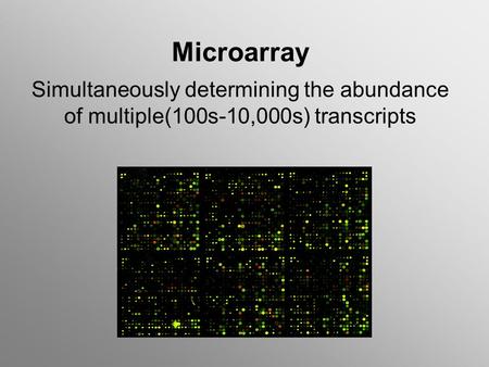 Microarray Simultaneously determining the abundance of multiple(100s-10,000s) transcripts.