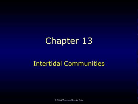 © 2006 Thomson-Brooks Cole Chapter 13 Intertidal Communities.
