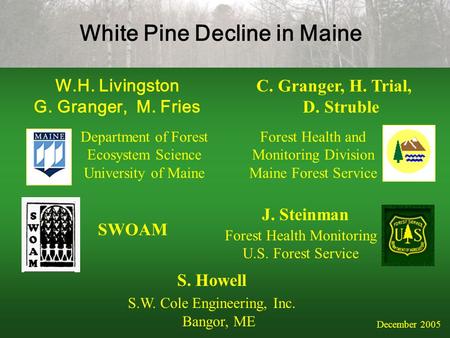 White Pine Decline in Maine W.H. Livingston G. Granger, M. Fries C. Granger, H. Trial, D. Struble S. Howell S.W. Cole Engineering, Inc. Bangor, ME December.