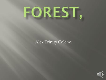 Alex Trinity Cole.w  A forest is a terrestrail biome and some abiotic factors are rocks,water,sunlight,oxygon,tempeature,and don’t for get about rain.