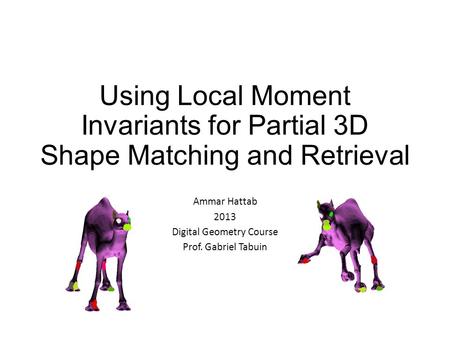 Using Local Moment Invariants for Partial 3D Shape Matching and Retrieval Ammar Hattab 2013 Digital Geometry Course Prof. Gabriel Tabuin.