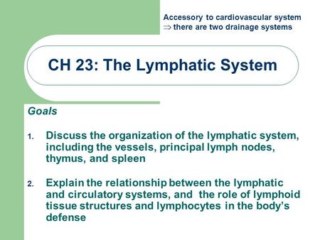 CH 23: The Lymphatic System Goals 1. Discuss the organization of the lymphatic system, including the vessels, principal lymph nodes, thymus, and spleen.