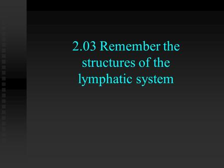 2.03 Remember the structures of the lymphatic system.