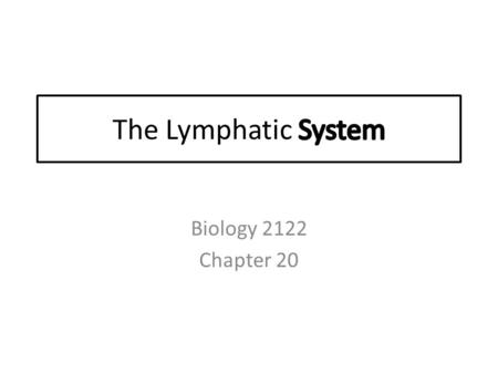 Biology 2122 Chapter 20. Functions of the Lymphatic System 1. Drain Excess ‘interstitial’ fluid ◦ 2-3 L of fluid lost from the blood stream/day 2. Transport.