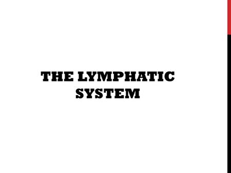 THE LYMPHATIC SYSTEM. WHAT EXACTLY IS THE LYMPHATIC SYSTEM? What is the function of the Lymphatic System? Which organs are involved? How does it work?