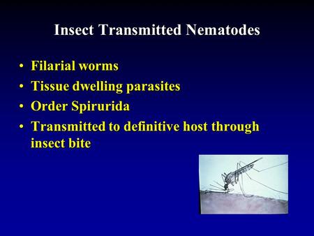 Insect Transmitted Nematodes