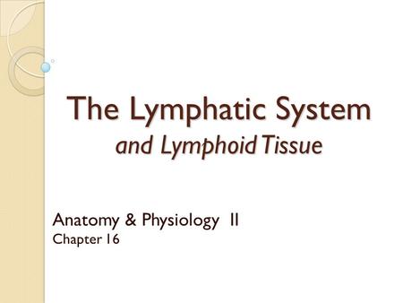 The Lymphatic System and Lymphoid Tissue