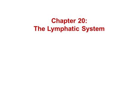 Chapter 20: The Lymphatic System. Florence Rena Saba – 1871-1953 - discovered important link between blood vessel and lymphatic vessel genesis.