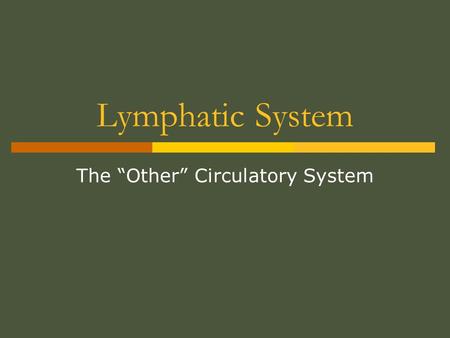 The “Other” Circulatory System