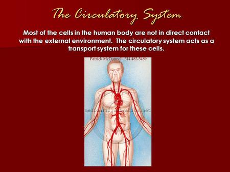 The Circulatory System Most of the cells in the human body are not in direct contact with the external environment. The circulatory system acts as a transport.