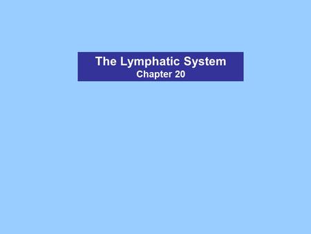 The Lymphatic System Chapter 20. Figure 20.1 The Lymphatic System Lymphatic System - Series of vessels, tissues and organs performing 2 major functions: