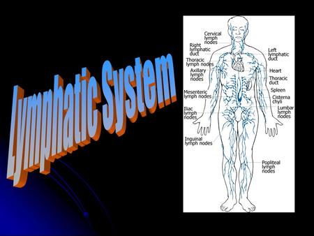 Lymphatic System Works with the circulatory system Works with the circulatory system Removes waste and excess fluids from the body tissues Removes waste.