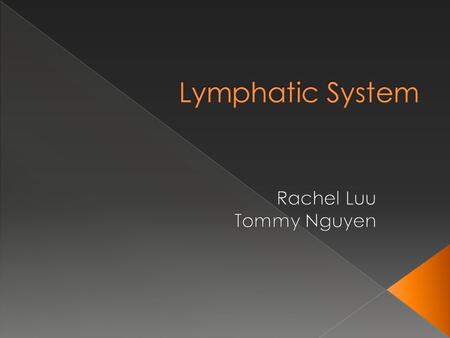 A. Lymphatic Vessels - Lymph : A clear to yellowish watery fluid that circulates through body tissues filtering out fats, bacteria, and other unwanted.
