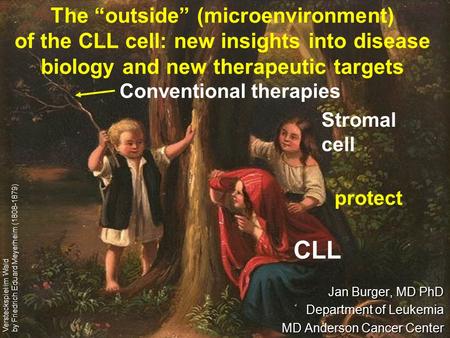 CLL Stromal cell protect Conventional therapies Versteckspiel im Wald by Friedrich Eduard Meyerheim (1808-1879) The “outside” (microenvironment) of the.