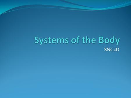 Systems of the Body SNC2D.
