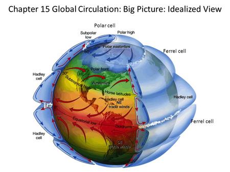 Chapter 15 Global Circulation: Big Picture: Idealized View Ferrel cell Polar cell.