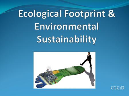 Ecological Footprint & Environmental Sustainability