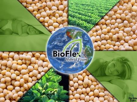 The Advantage BioFlex TM Hybrid Foams are the next generation in environmentally friendly foams made with EnviroFlex TM Foam Technology Formulations do.