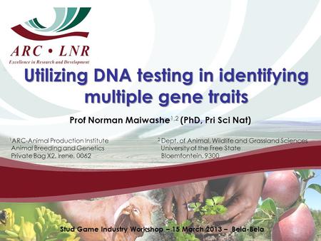 Utilizing DNA testing in identifying multiple gene traits Prof Norman Maiwashe 1,2 (PhD, Pri Sci Nat) 1 ARC-Animal Production Institute 2 Dept. of Animal,