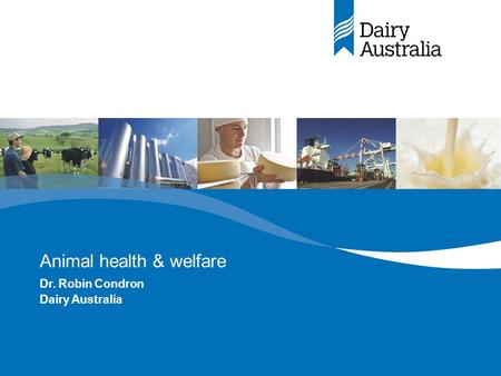 Animal health & welfare Dr. Robin Condron Dairy Australia.