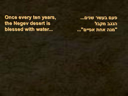 פעם בעשר שנים... הנגב מקבל מנה אחת אפיים... Once every ten years, the Negev desert is blessed with water...