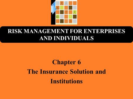 RISK MANAGEMENT FOR ENTERPRISES AND INDIVIDUALS Chapter 6 The Insurance Solution and Institutions.