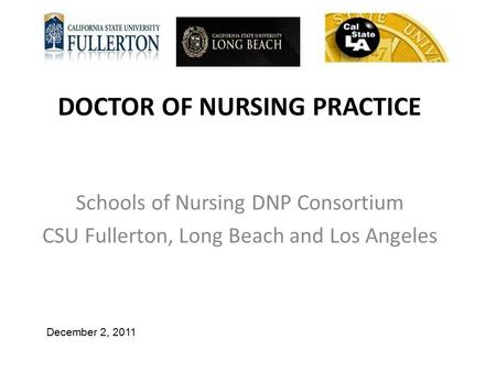 DOCTOR OF NURSING PRACTICE Schools of Nursing DNP Consortium CSU Fullerton, Long Beach and Los Angeles December 2, 2011.