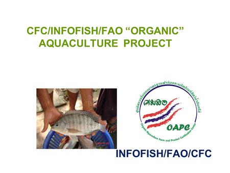 CFC/INFOFISH/FAO “ORGANIC” AQUACULTURE PROJECT