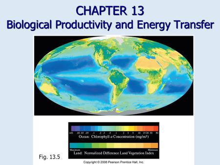 CHAPTER 13 Biological Productivity and Energy Transfer Fig. 13.5.