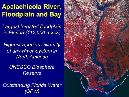 Apalachicola River, Floodplain and Bay