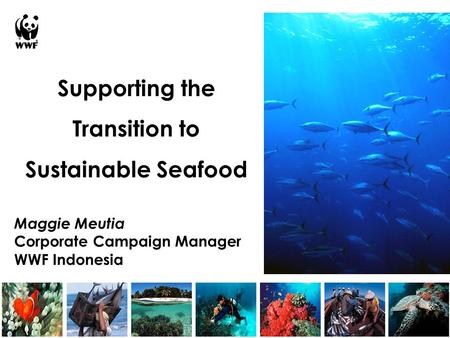Supporting the Transition to Sustainable Seafood