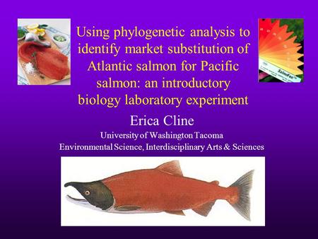Using phylogenetic analysis to identify market substitution of Atlantic salmon for Pacific salmon: an introductory biology laboratory experiment Erica.