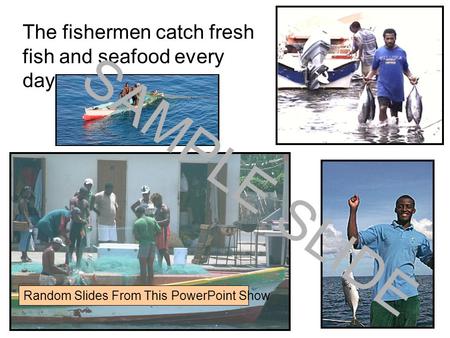 Www.ks1resources.co.uk The fishermen catch fresh fish and seafood every day. SAMPLE SLIDE Random Slides From This PowerPoint Show.