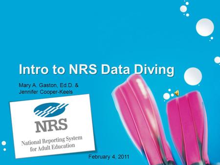 Intro to NRS Data Diving Mary A. Gaston, Ed.D. & Jennifer Cooper-Keels February 4, 2011.