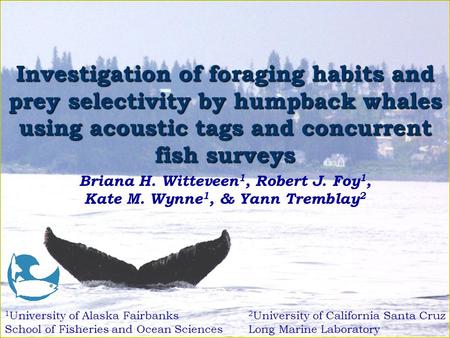 Investigation of foraging habits and prey selectivity by humpback whales using acoustic tags and concurrent fish surveys Briana H. Witteveen 1, Robert.