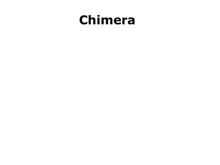 Chimera. Chimera 1/3 Starting Chimera Open Chimera from desktop (ZDV app) (If there is an update it will take a minute or two) Open a 3D structure by.