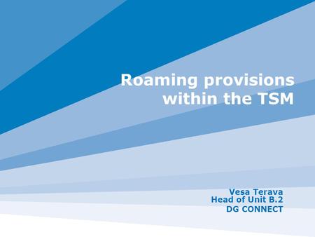 Roaming provisions within the TSM Vesa Terava Head of Unit B.2 DG CONNECT.