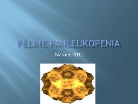 Navies 2011.  F.P.V. is caused by a DNA virus of the family Parvoviridae, which is closely related antigenetically to the canine parvovirus (CPV), type.