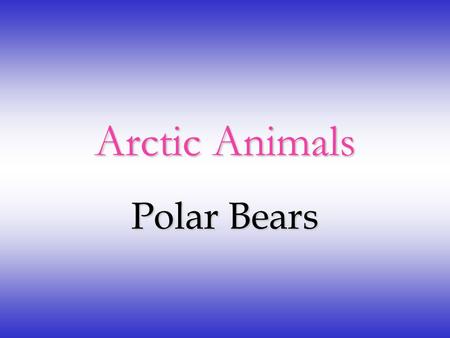 Arctic Animals Polar Bears Characteristics of Polar Bears A group of polar bears is called a Celebration of Polar Bears. Polar bears can grow to 10.