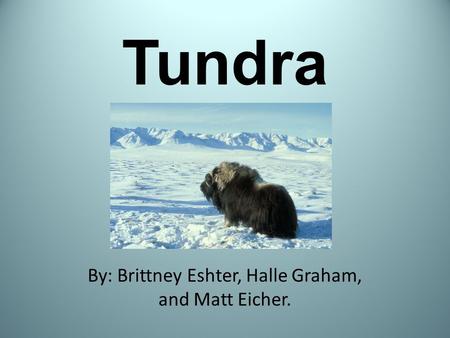 Tundra By: Brittney Eshter, Halle Graham, and Matt Eicher.
