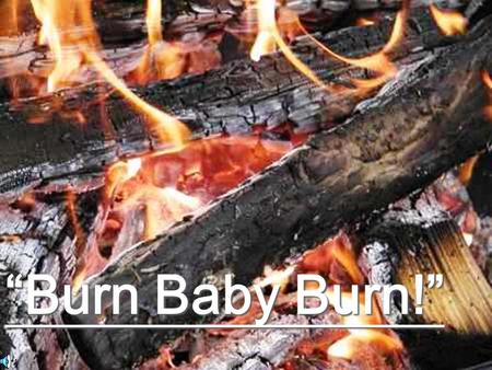 “Burn Baby Burn!”. Which type of wood releases the most heat energy? By: Dominick Brennan & Edward Medina.