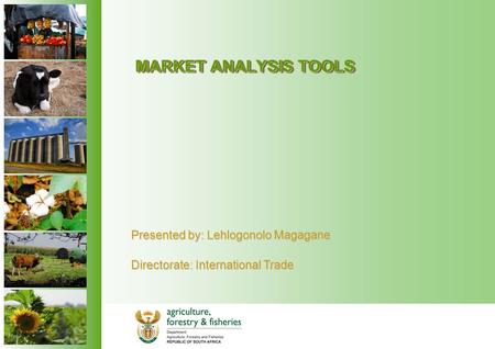 MARKET ANALYSIS TOOLS Presented by: Lehlogonolo Magagane Directorate: International Trade.