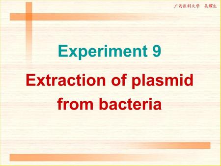 Extraction of plasmid from bacteria