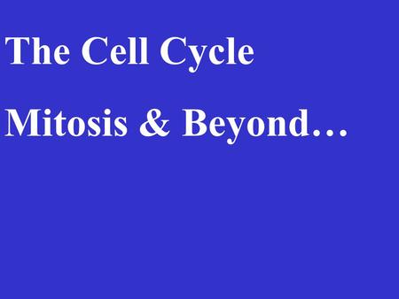 The Cell Cycle Mitosis & Beyond….
