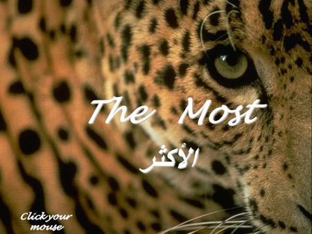 The Most الأكثر Click your mouse The most selfish one letter word........... I Avoid it. حرفى الأنانية أنا تجنبها.
