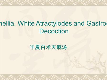 Pinellia, White Atractylodes and Gastrodia Decoction 半夏白术天麻汤.