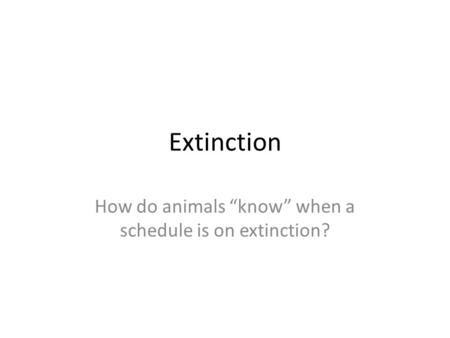How do animals “know” when a schedule is on extinction?