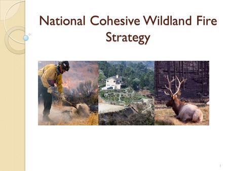 National Cohesive Wildland Fire Strategy 1. What is the Cohesive Strategy? A national, collaborative approach to addressing wildland fire across all lands.