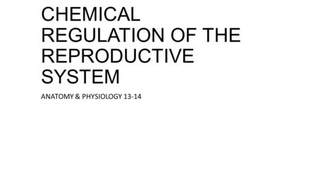 CHEMICAL REGULATION OF THE REPRODUCTIVE SYSTEM ANATOMY & PHYSIOLOGY 13-14.