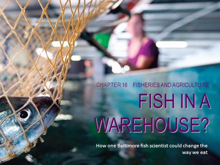 CHAPTER 16 FISHERIES AND AGRICULTUIRE FISH IN A WAREHOUSE?